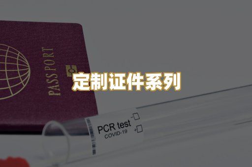定制证件系列
